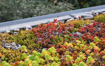 the cost of Rathen green roof installation