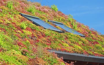 Rathen living roof systems